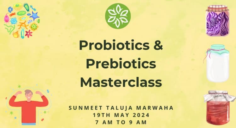 course | Natural Prebiotics and Probiotics Masterclass - with 20 easy to prepare recipes